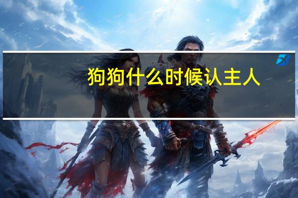 狗狗什么时候认主人