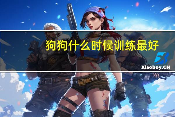 狗狗什么时候训练最好