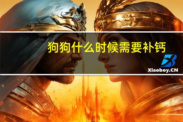 狗狗什么时候需要补钙