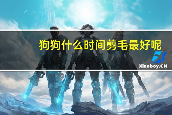 狗狗什么时间剪毛最好呢