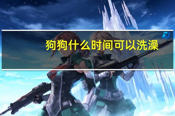 狗狗什么时间可以洗澡