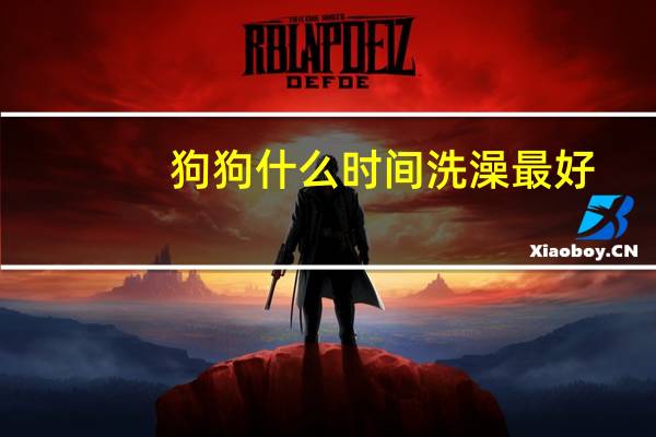 狗狗什么时间洗澡最好