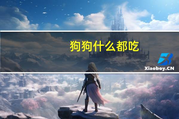 狗狗什么都吃