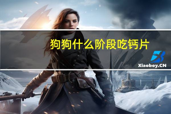 狗狗什么阶段吃钙片