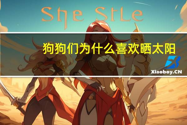狗狗们为什么喜欢晒太阳