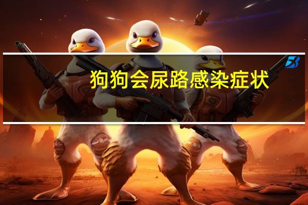 狗狗会尿路感染症状