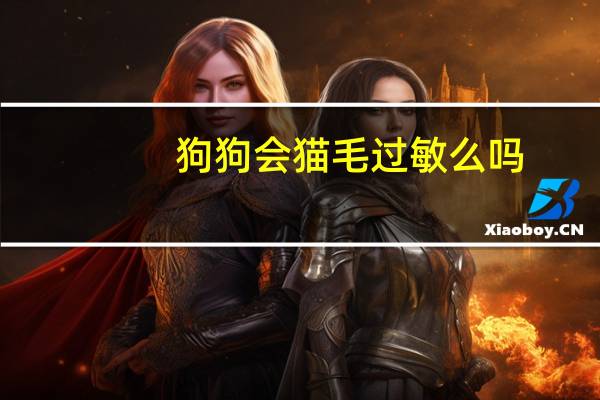 狗狗会猫毛过敏么吗