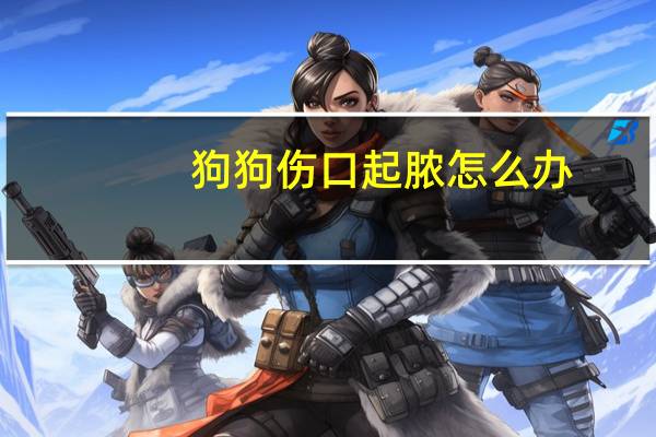 狗狗伤口起脓怎么办