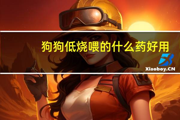 狗狗低烧喂的什么药好用
