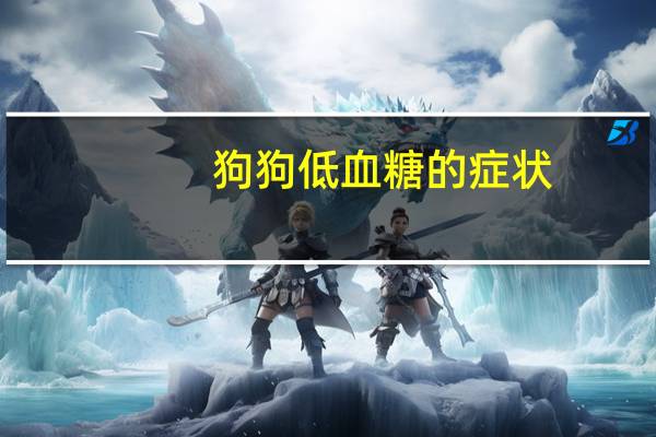 狗狗低血糖的症状