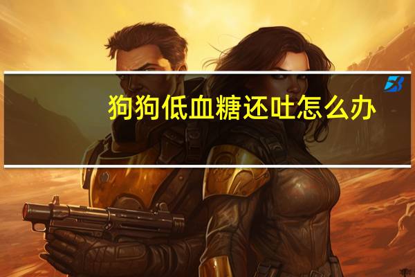 狗狗低血糖还吐怎么办