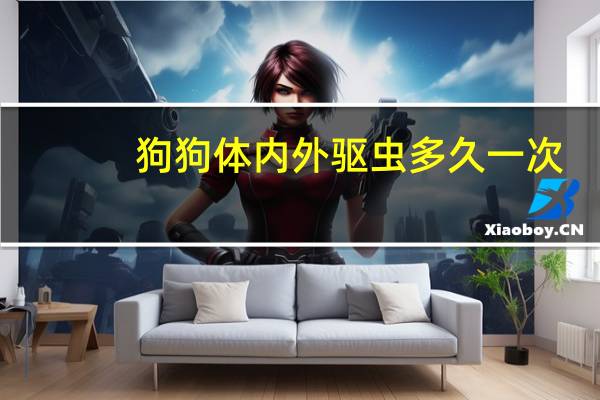 狗狗体内外驱虫多久一次