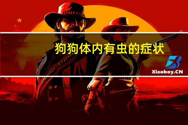 狗狗体内有虫的症状