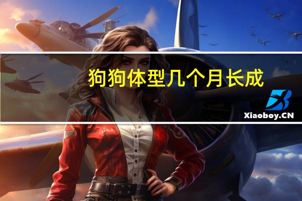 狗狗体型几个月长成