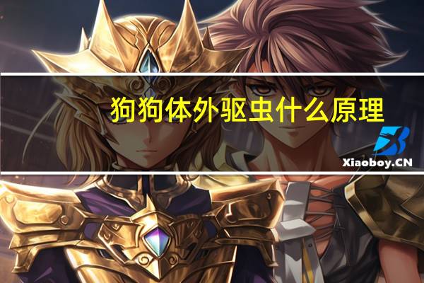 狗狗体外驱虫什么原理