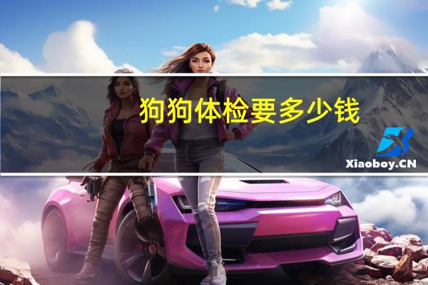 狗狗体检要多少钱
