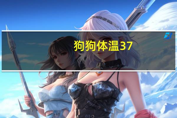狗狗体温37。8