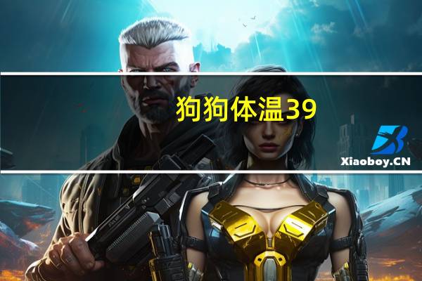 狗狗体温39。3