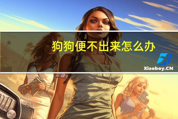 狗狗便不出来怎么办