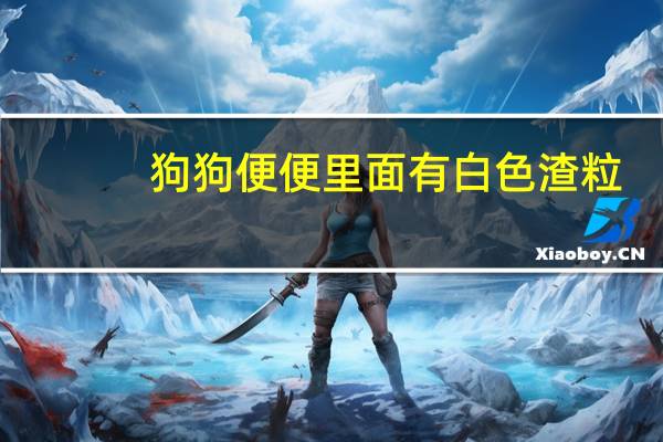 狗狗便便里面有白色渣粒