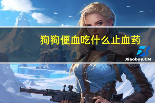 狗狗便血吃什么止血药
