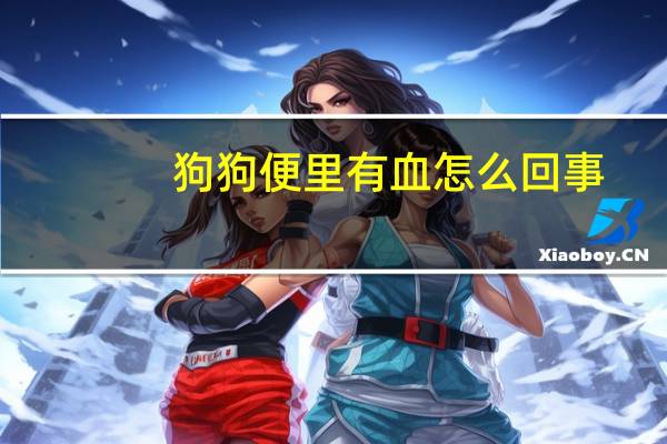 狗狗便里有血怎么回事