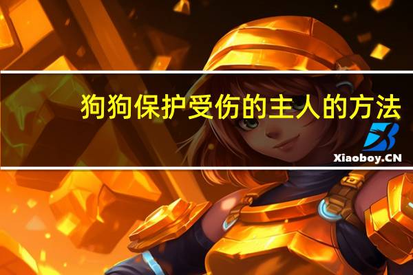狗狗保护受伤的主人的方法