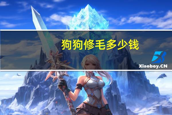 狗狗修毛多少钱