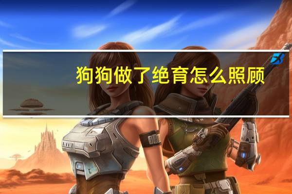 狗狗做了绝育怎么照顾