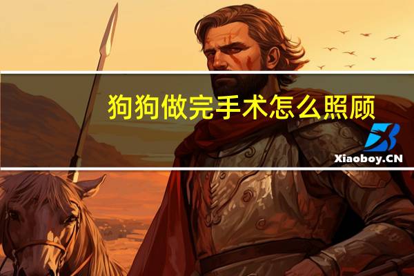 狗狗做完手术怎么照顾