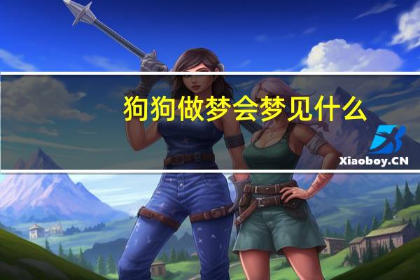 狗狗做梦会梦见什么
