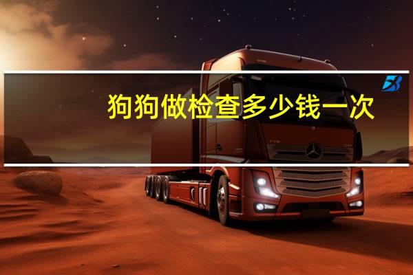 狗狗做检查多少钱一次