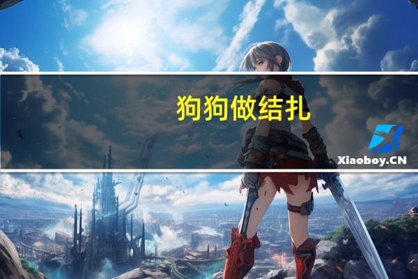 狗狗做结扎
