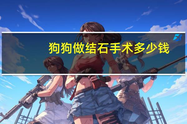 狗狗做结石手术多少钱