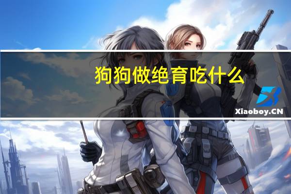 狗狗做绝育吃什么