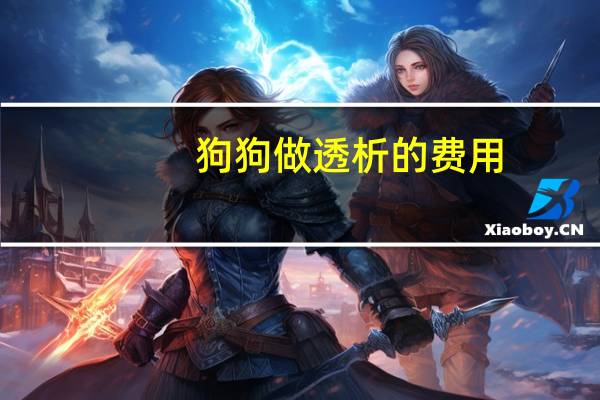 狗狗做透析的费用