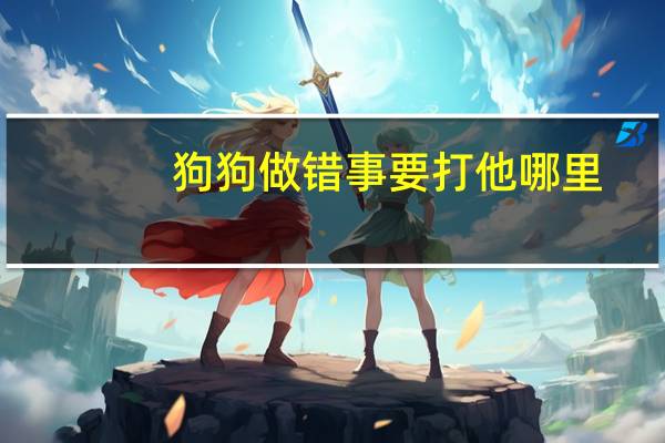 狗狗做错事要打他哪里