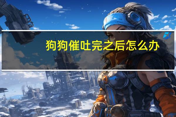 狗狗催吐完之后怎么办