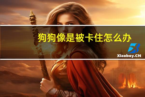 狗狗像是被卡住怎么办