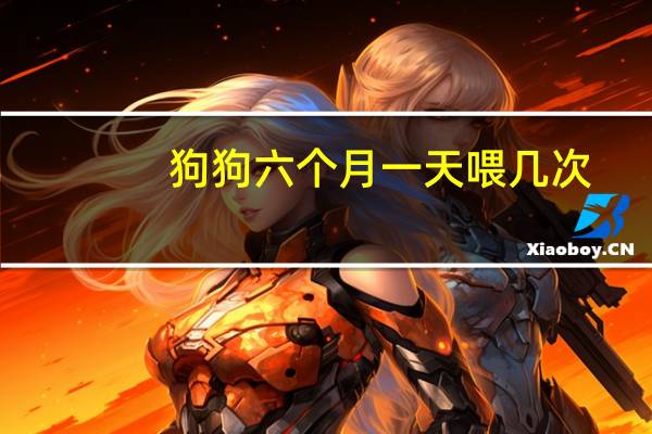 狗狗六个月一天喂几次