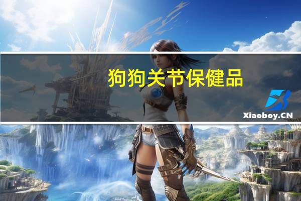 狗狗关节保健品