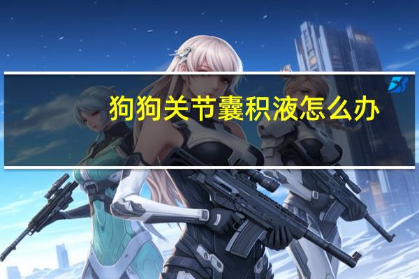 狗狗关节囊积液怎么办