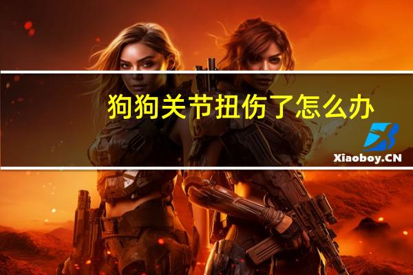 狗狗关节扭伤了怎么办