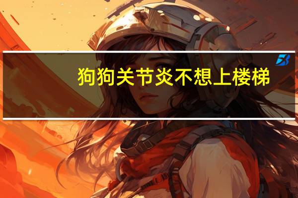 狗狗关节炎不想上楼梯