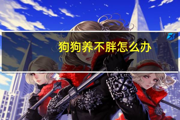 狗狗养不胖怎么办