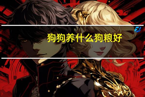 狗狗养什么狗粮好