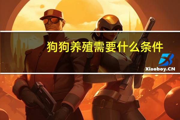狗狗养殖需要什么条件