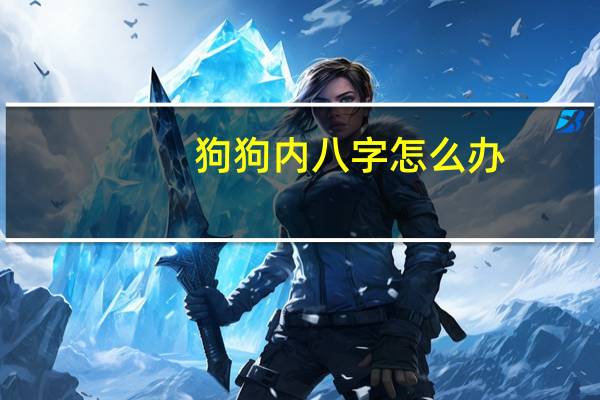 狗狗内八字怎么办