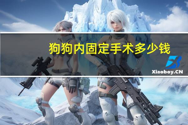 狗狗内固定手术多少钱