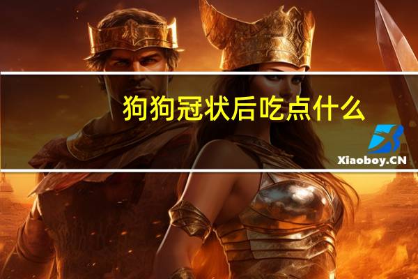 狗狗冠状后吃点什么